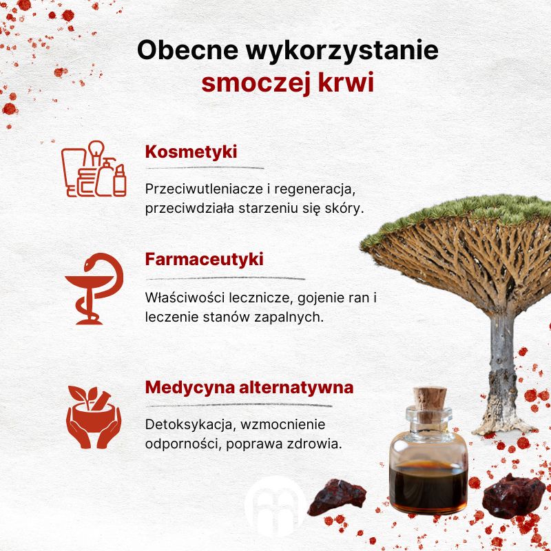 (Polština) Současné využití  dračí krve